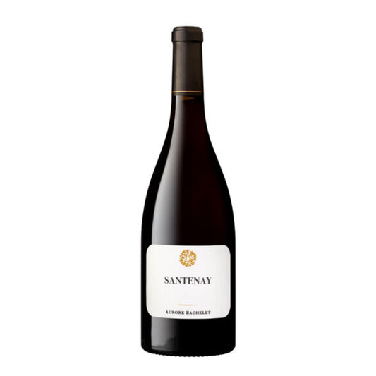 Aurore Bachelet | Santenay rouge 2022